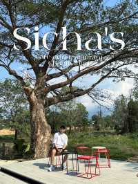 Sicha's café and restaurant 🌿☕️