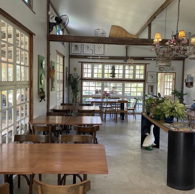 พาเด็กๆเรียนรู้ธรรมชาติ ที่ Ginger Farm เชียงใหม่