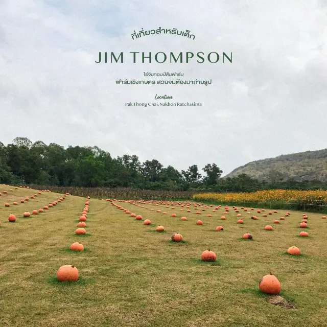 จิม ทอมป์สัน ฟาร์ม - Jim Thompson Farm