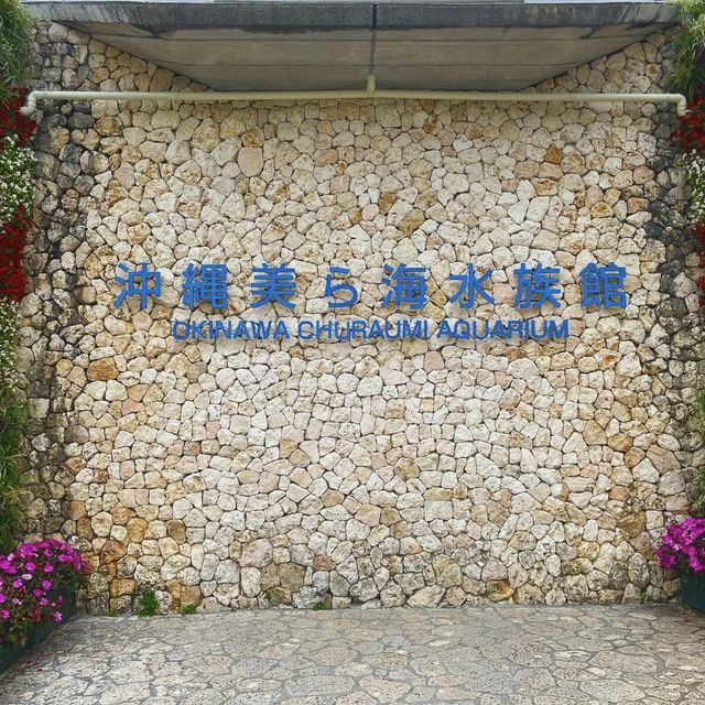 美ら海水族館🐟