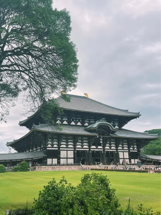 웅장함에 한 번, 아름다움에 두 번 놀란 도다이지🏯