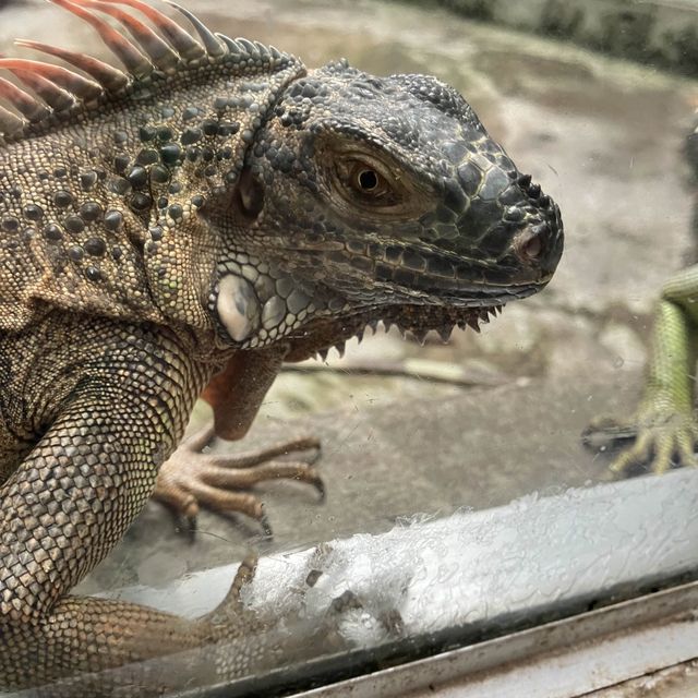 サイゴン動植物園