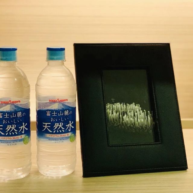 離濱松町地鐵站很近的一家連鎖酒店