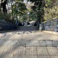 横浜開港時代の名残りも⚓️港の見える丘公園