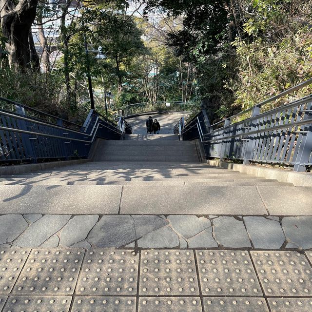 横浜開港時代の名残りも⚓️港の見える丘公園