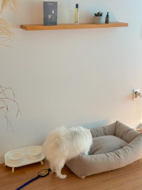 초록 세상속에서 하룻밤 힐링. 오늘의 우리 집🏡