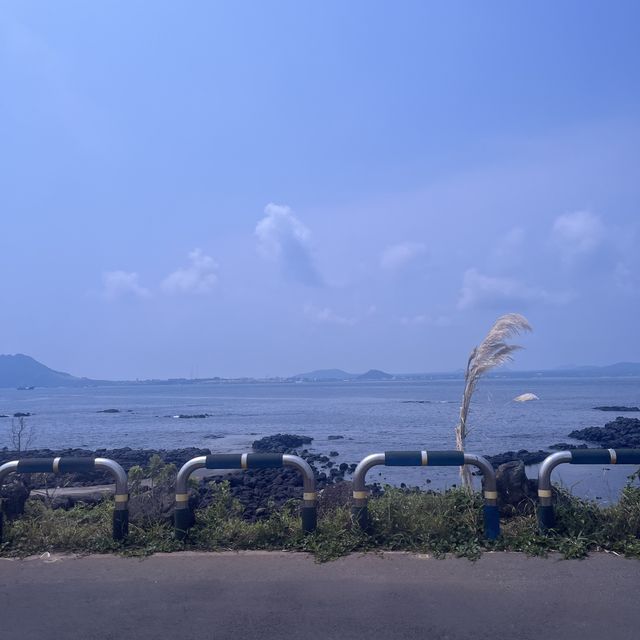 제주도 우도 배타고 차타고 들어가기 🚢