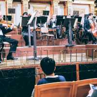 Wonderful hours in the Musikverein, Vienna 