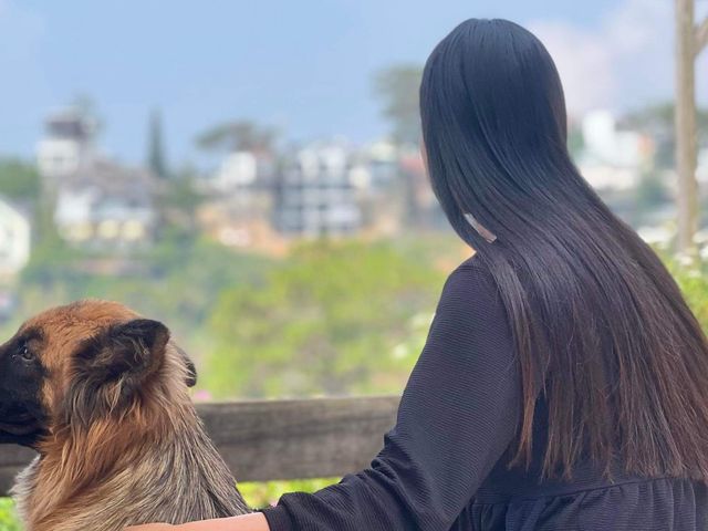 Dalat Memories Homestay 🏡