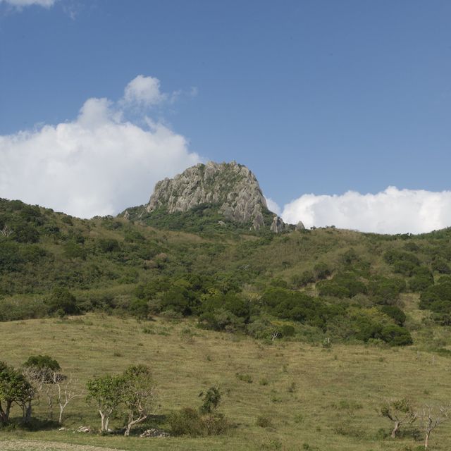 墾丁 ｜⛰️民宿眺望大尖山遊牧場
