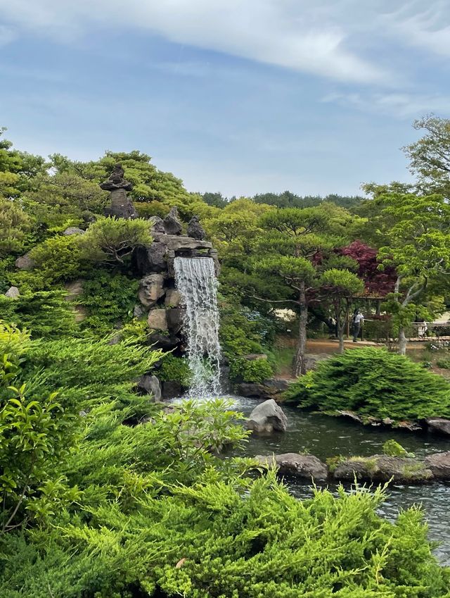 [제주도] 귀여운 스누피로 가득한 스누피 가든!🐾