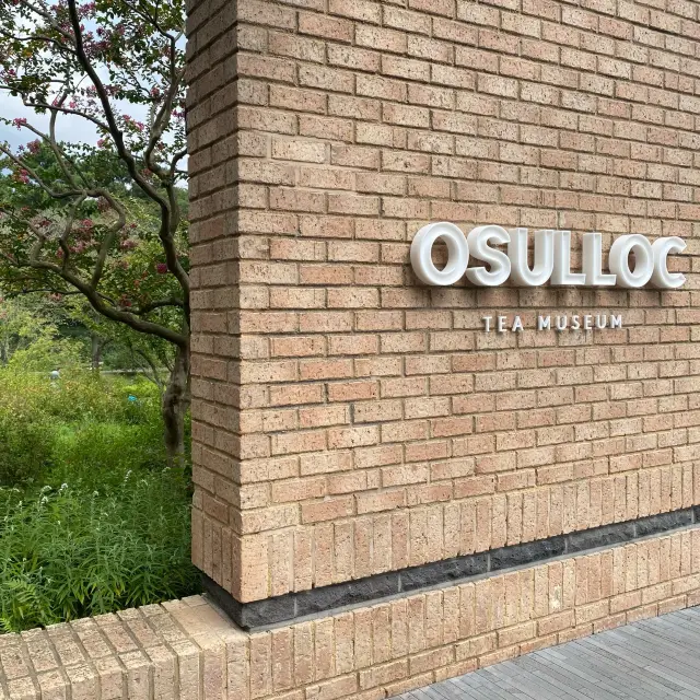Jeju Osulloc Tea Museum 
