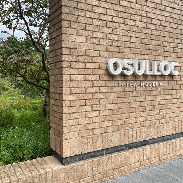 Jeju Osulloc Tea Museum 