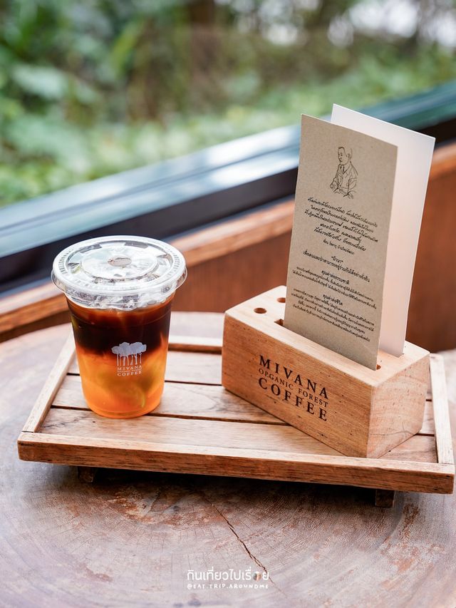 🌳🌿🍃 Mivana - มีวนา ร้านกาแฟฟีลป่าในเมือง
