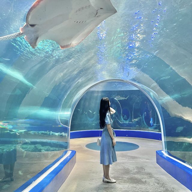 아쿠아리움을 이용하면 무료로 이용가능했던 팝업 미술관