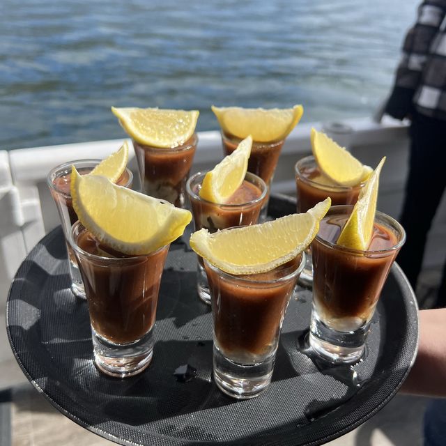 荷伯特 Tasmanian Wild Seafood Adventure海鮮遊艇之旅
