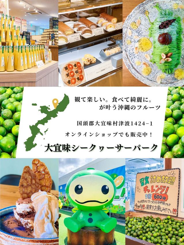 大人も子供も楽しめる！美と健康に嬉しいシークヮーサーパーク🌺