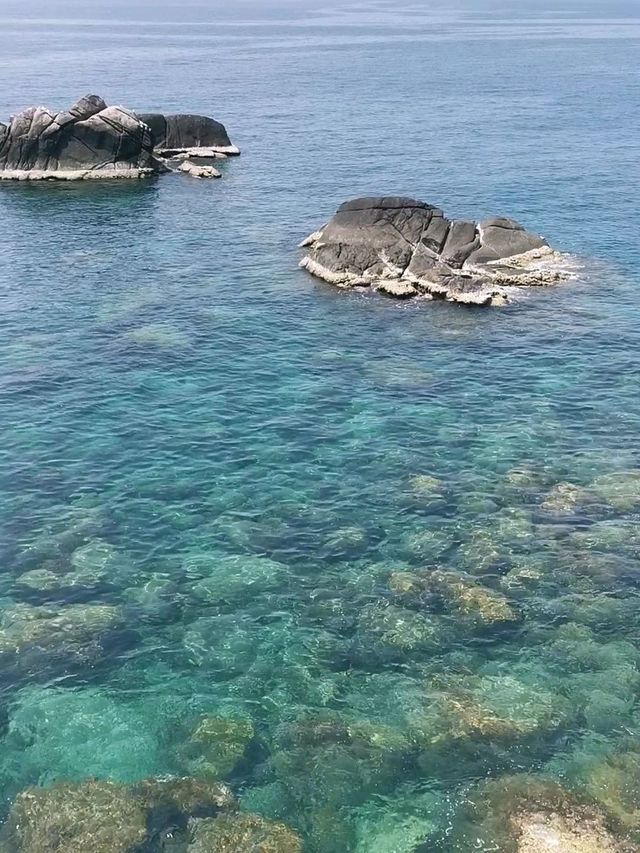 เกาะเต่า...ไม่เหงาใจ