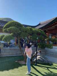 경기도 시흥에 숲세권 한옥 대형 스팟✨