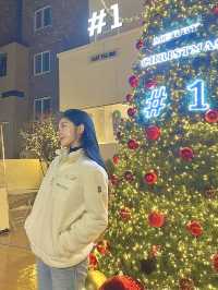 🎄대형트리 맛집 청주 성안길 원탑 카페 #1