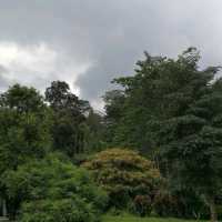 Sungai Congkak Recreational Forest