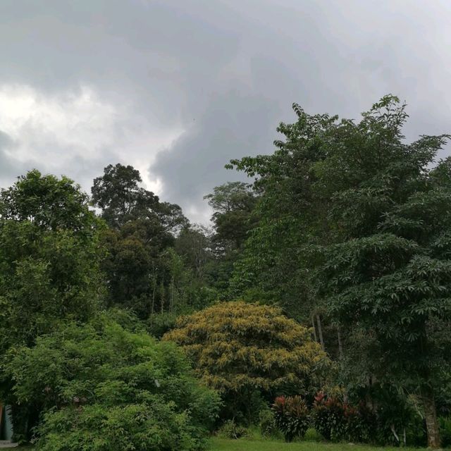 Sungai Congkak Recreational Forest