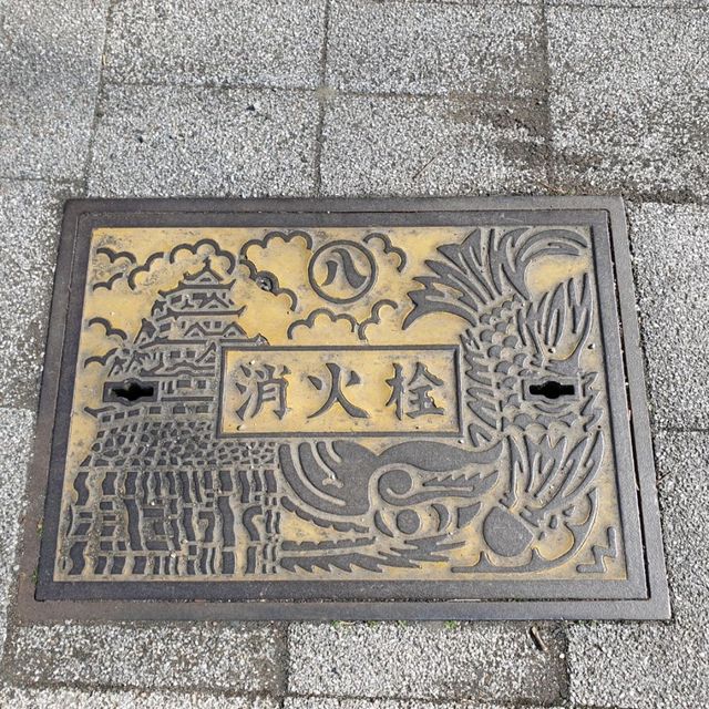 名古屋城的守護者【金鯱】