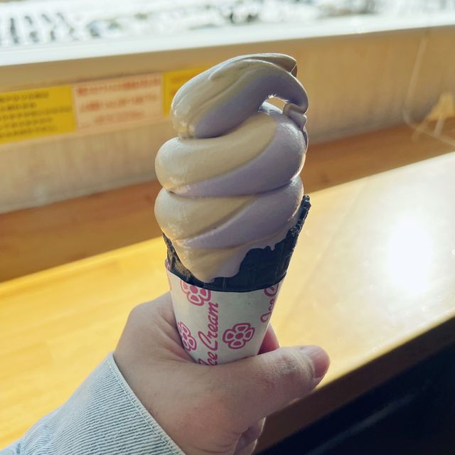 富士山｜河口湖大石公園🗻美味巨峰麝香葡萄冰淇淋