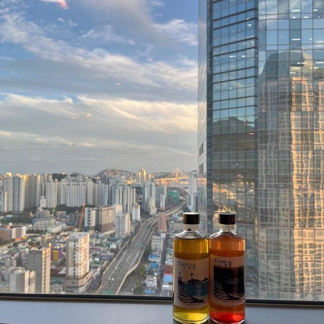 초고층 객실에서 즐기는 파노라마 야경 ✨