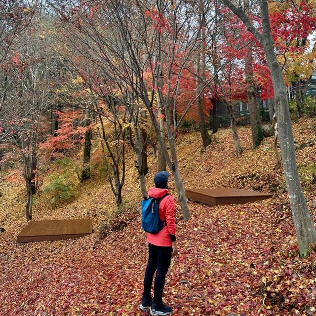 Lovely Autumn escape from busy Seoul !! 