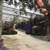 Flora Park: flowers paradise 🤩