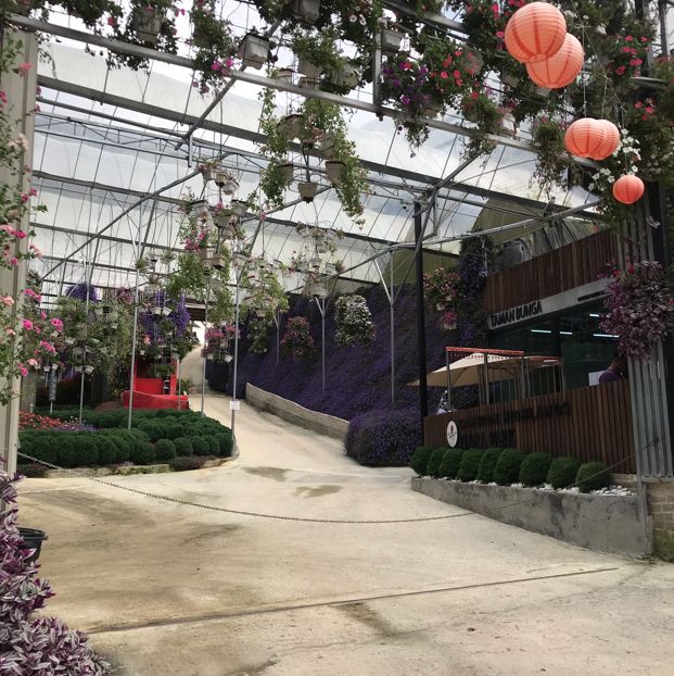 Flora Park: flowers paradise 🤩
