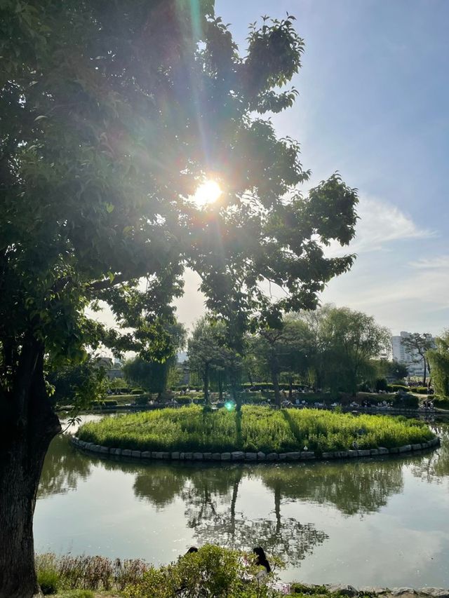 수원 당일치기 여행🌷