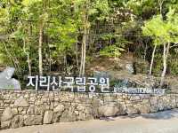 그림같은 풍경 지리산 국립공원 천왕봉 ♥ ⛰