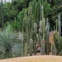 仙湖植物園