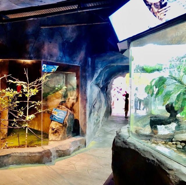 Entopia - Penang Island, Malaysia