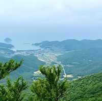 ‘필사즉생, 필생즉사’ 수국과 함께 이순신 장군을 볼 수 있는 ‘이순신공원’을 소개합니다 :)