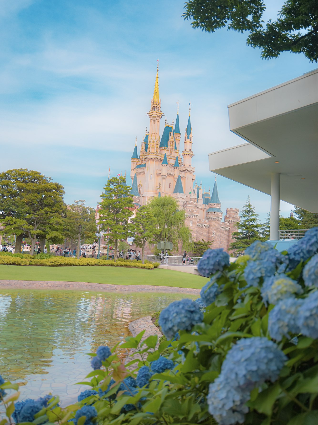 Disney - 花 Disney ディズニー 花 ギフト スイートマジック ピーチ