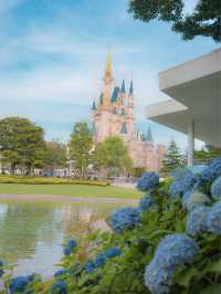 TDRのオススメお花スポット6月〜バージョン
