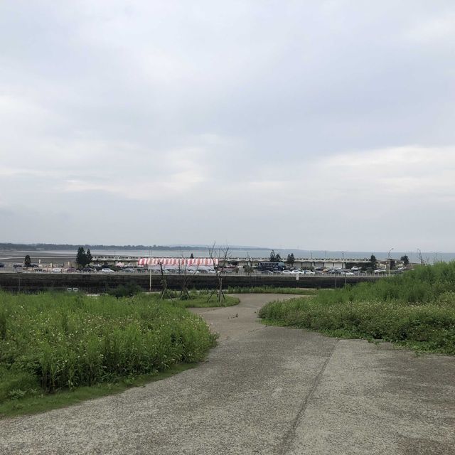 望海步道草地區