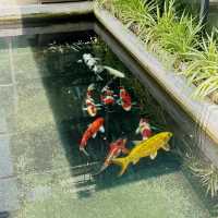My Papilio ร้านคาเฟ่ชิคๆ ร้านดังประจำอุบล