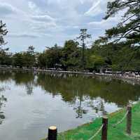 Todaiji temple