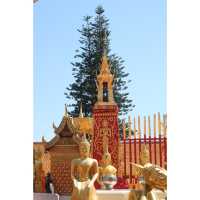 วัดพระธาตุดอยสุเทพราชวรวิหาร 🛕