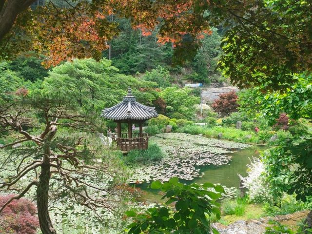 Beautiful Garden that feel peaceful