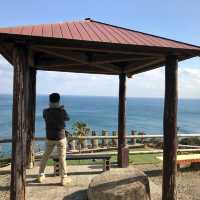 宮崎海岸上的復活島摩艾巨石像