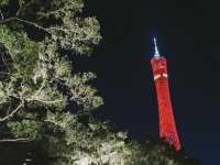 遊廣東🇨🇳睇廣州夜景