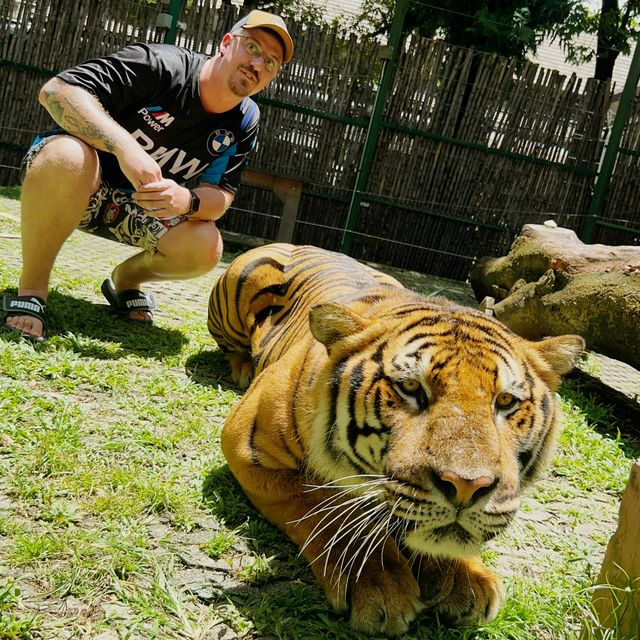 Phuket!