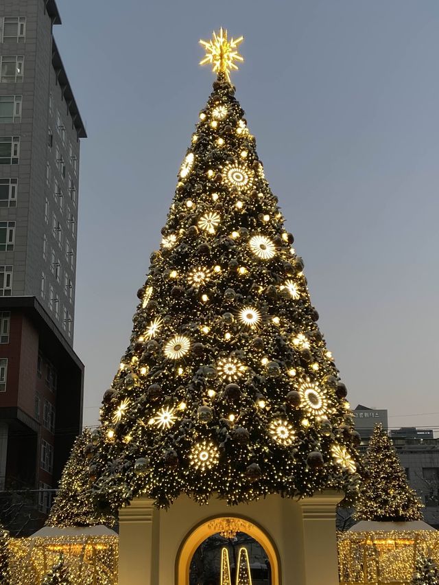 크리스마스 트리 명소! 타임스퀘어🎄🎅🏻🎁