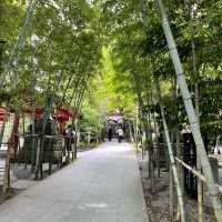 【熱海】熱海屈指のパワースポット来宮神社