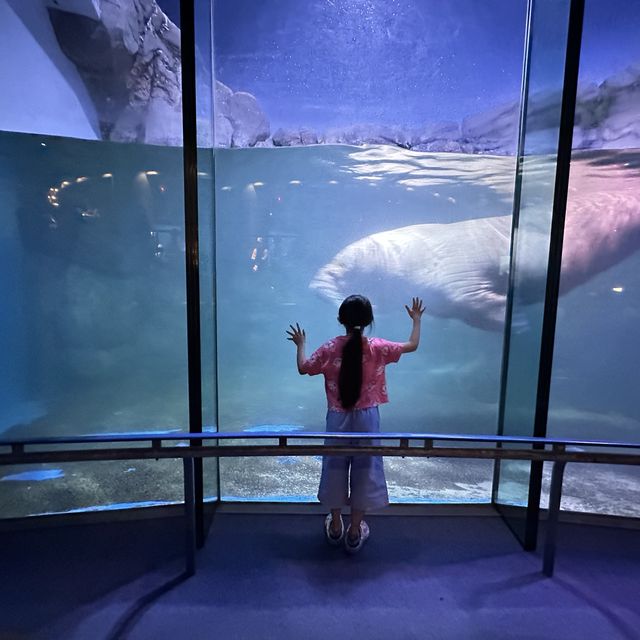 横濱八景島海島樂園